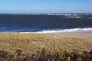 Chatham Light beach